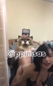 น้องพิม ppimsas เย็ดสดกับแฟนใหม่ชักน้ำแตกใส่ปากแทบไม่ทันซอยหีเสียวเพลินๆ